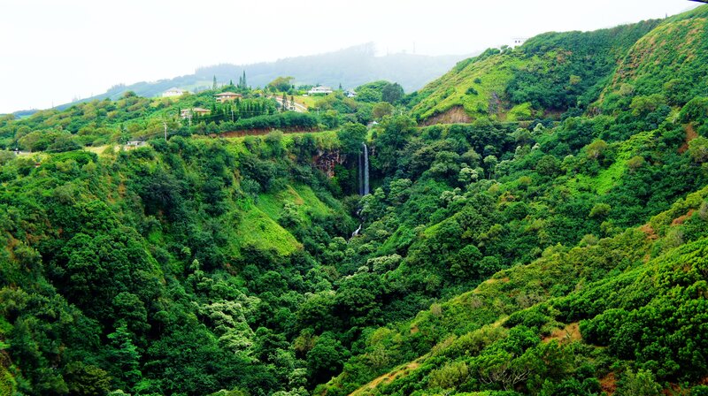 Green Valley with Waterfall — Serene