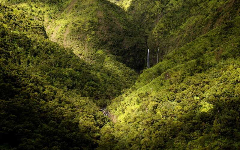 Green Valley with Waterfalls — Serene