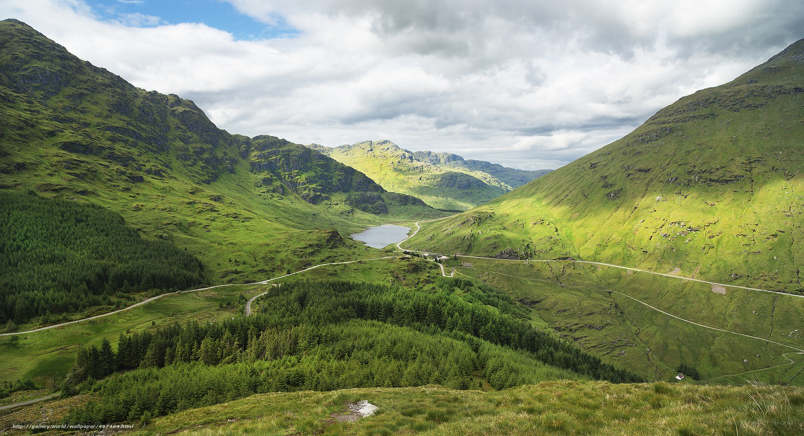 Green valley with winding road