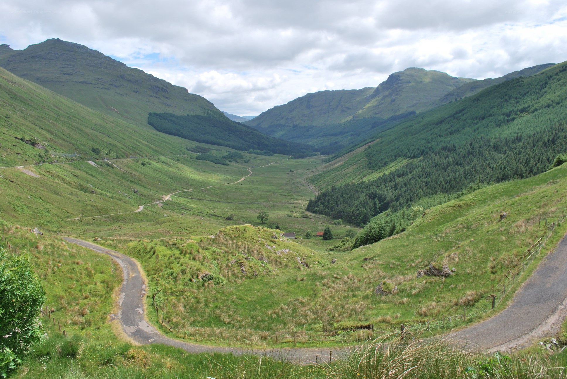 green valley with winding roads