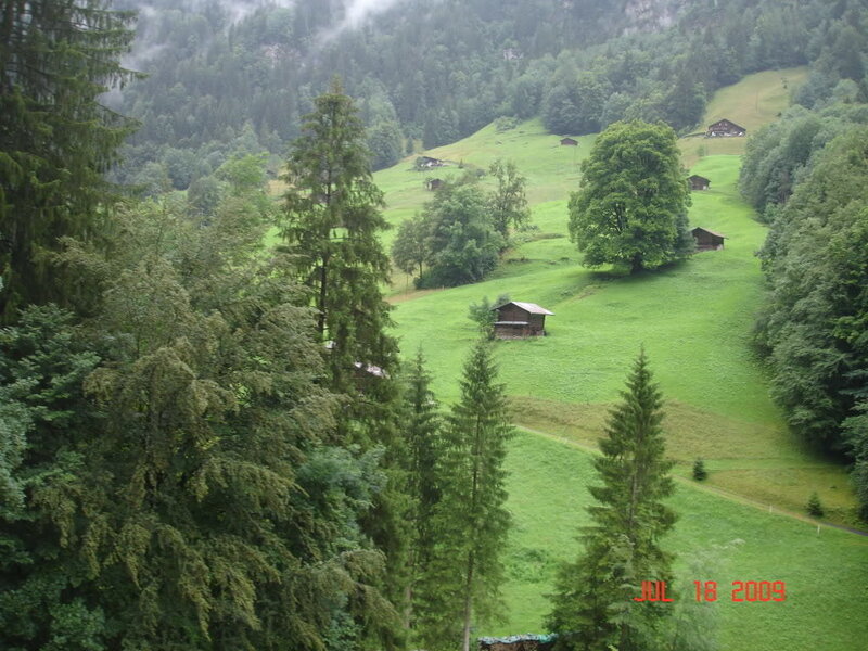Green valley with wooden huts