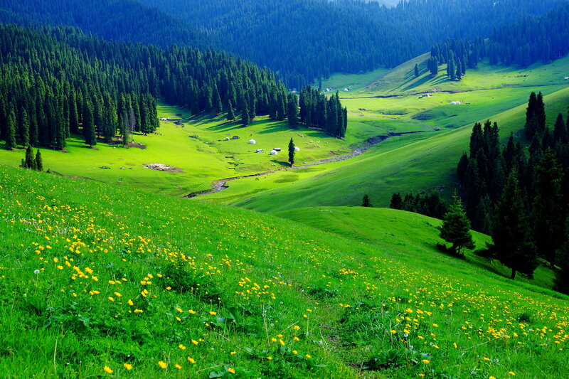 Green Valley with Yurts