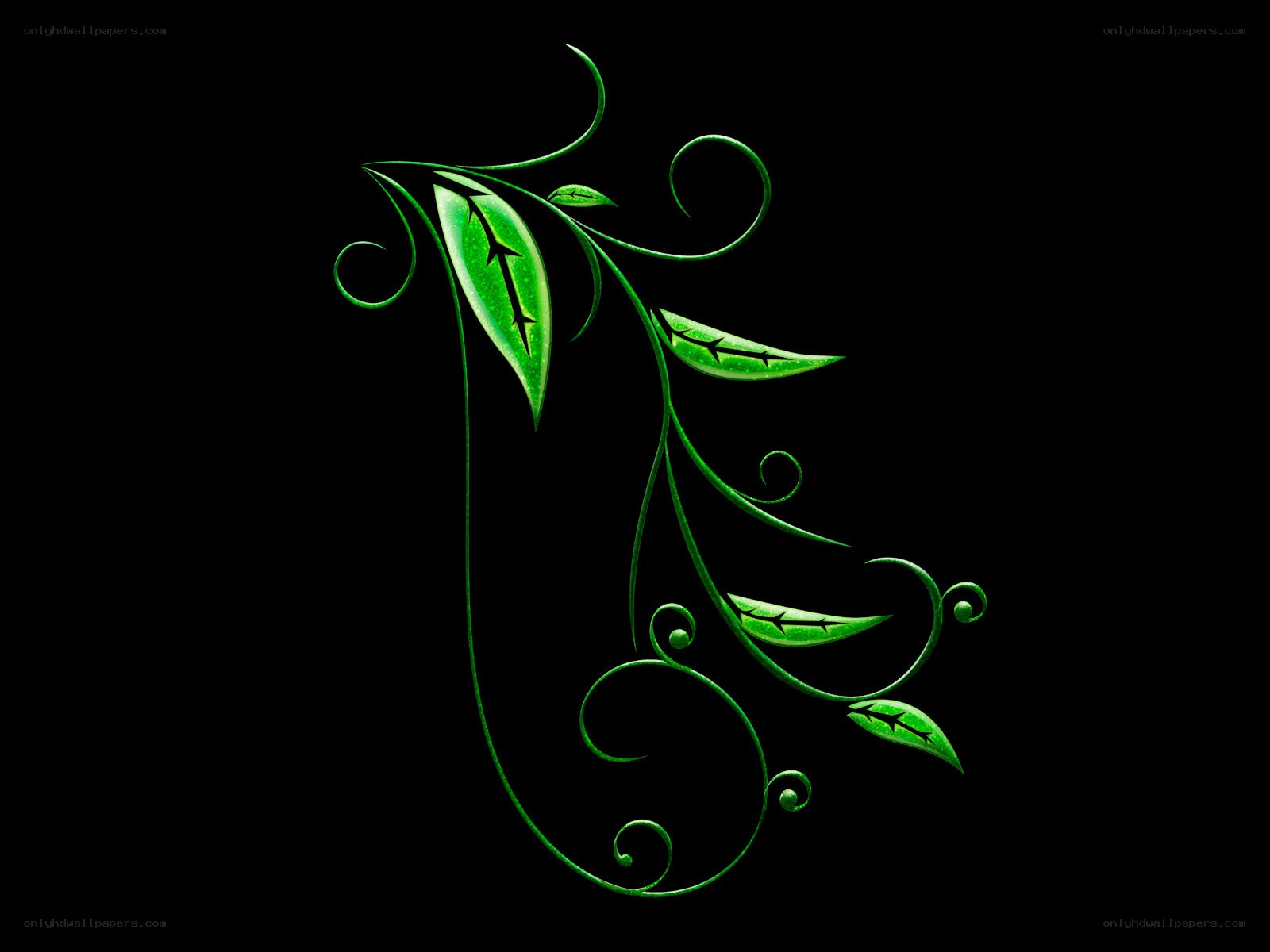 green vine design