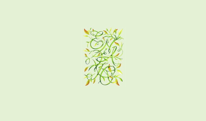 Green Vine Design — Calm