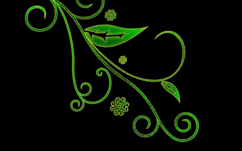 Green Vine Design — Decorative