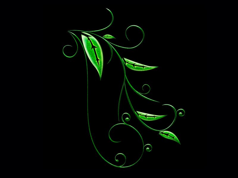 green vine design