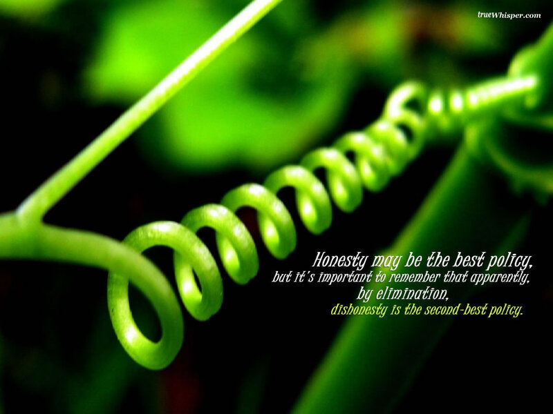 Green Vine Tendril — Calm