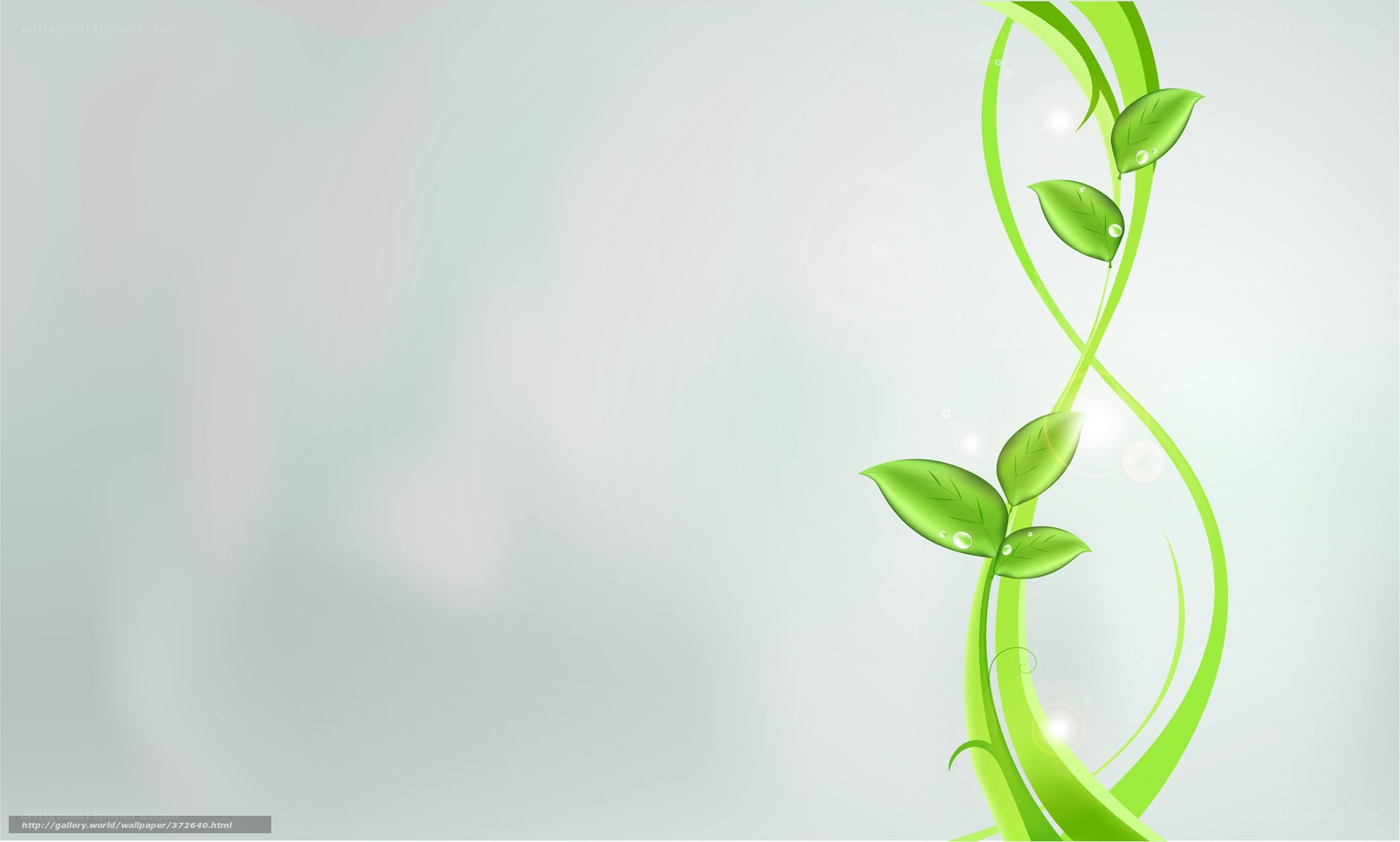 green vine with leaves