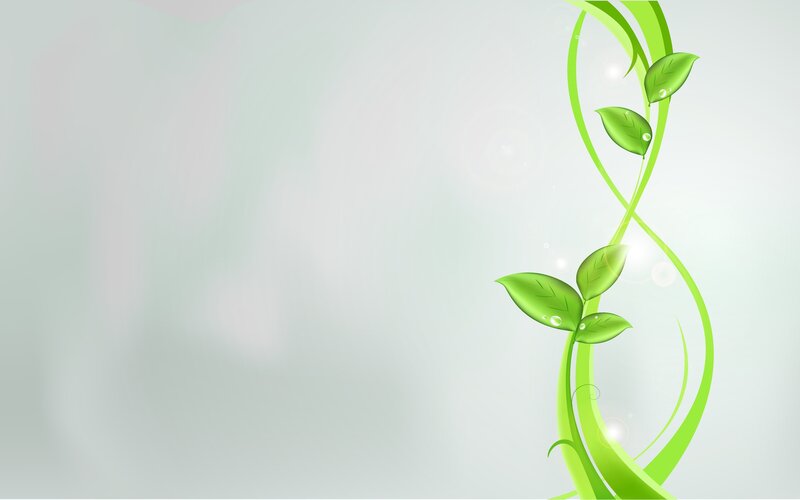 green vine with leaves