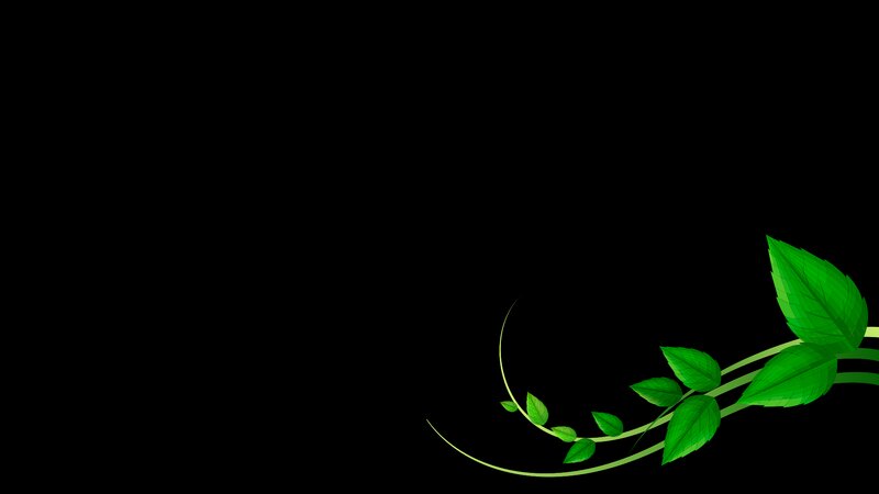 Green Vine with Leaves — Black