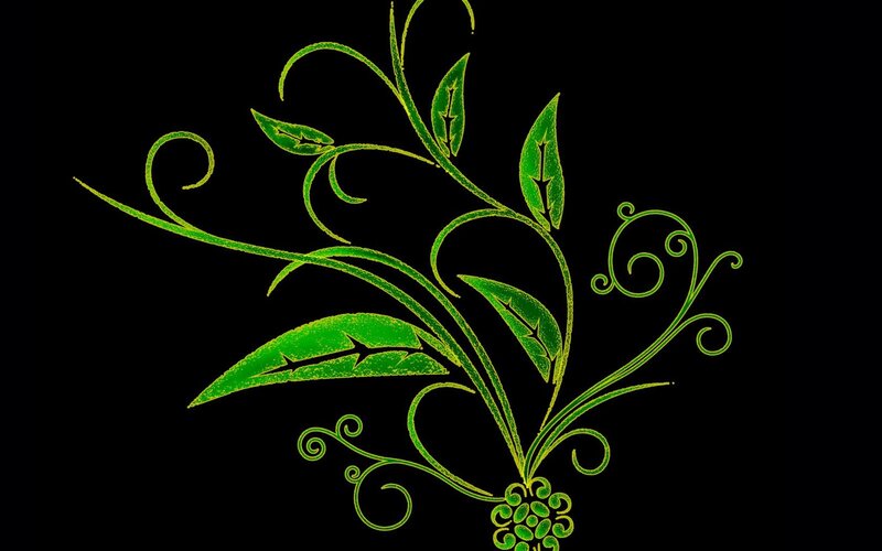 Green Vine with Leaves — Calm