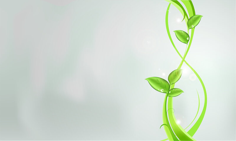 Green Vine with Leaves — Serene, Vector Art, Stems