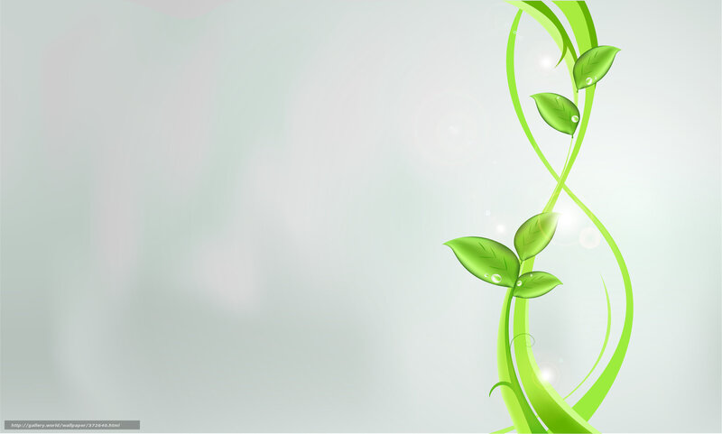 Green Vine with Leaves — Serene, Vector Art
