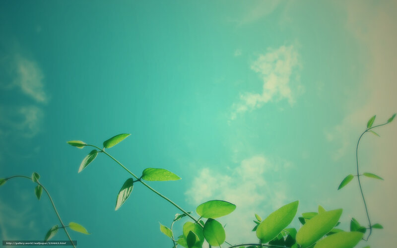 Green Vines Against Sky — Teal, Serene