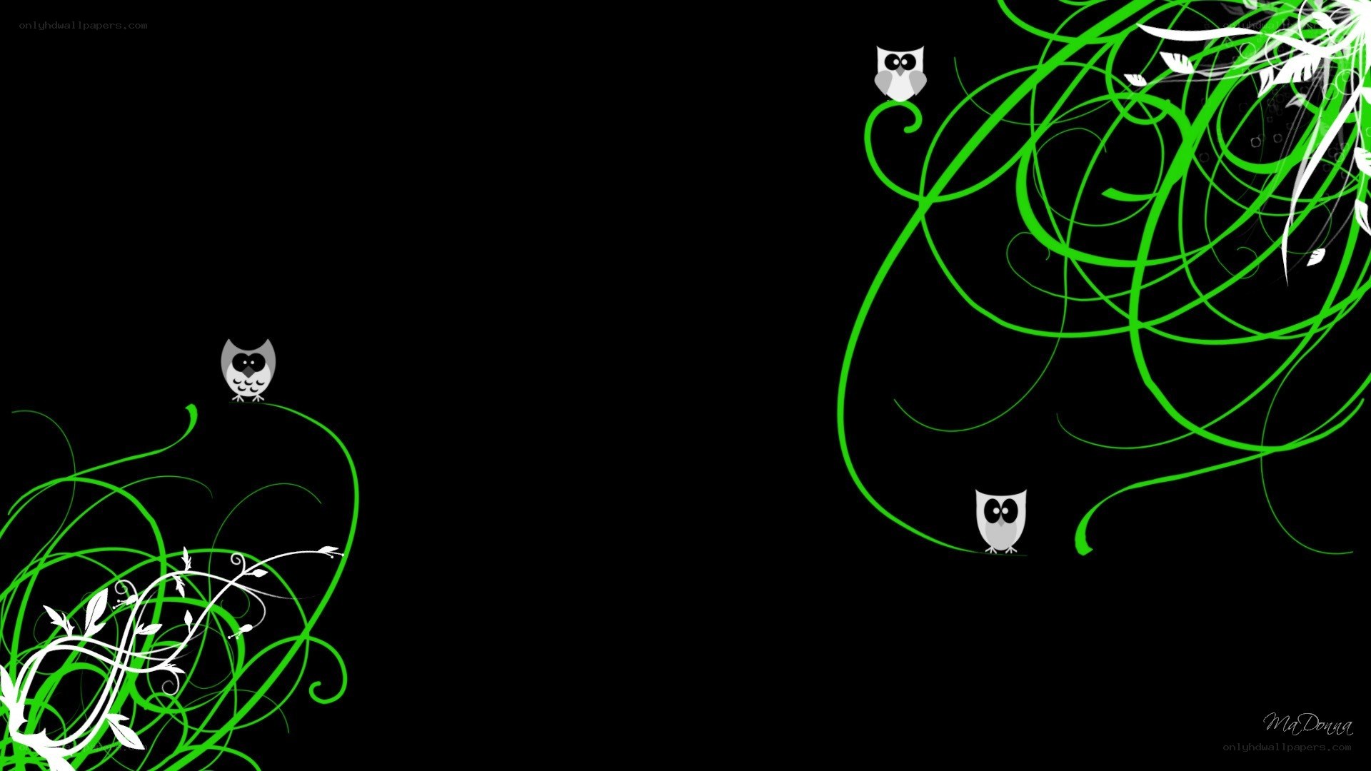 green vines and owls wallpaper
