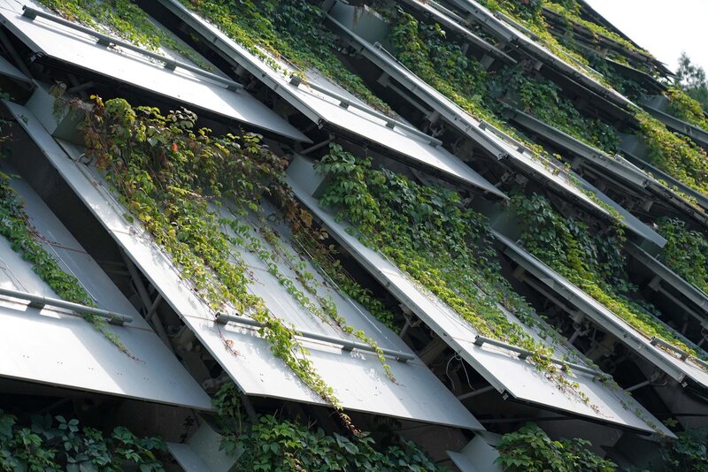 Green Vines on Metal Panels