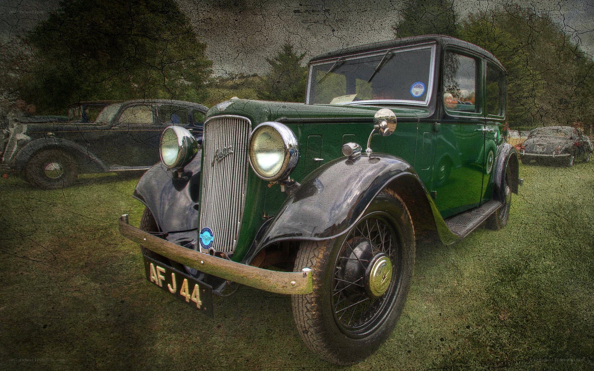 Green vintage car on grass