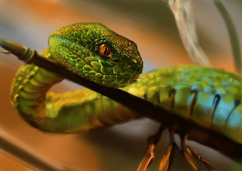 Green Viper Snake — Dramatic, Sunset