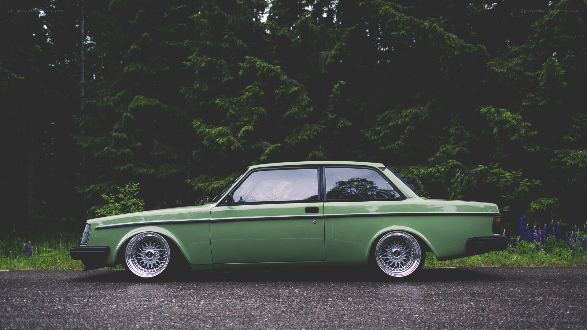 green volvo in forest