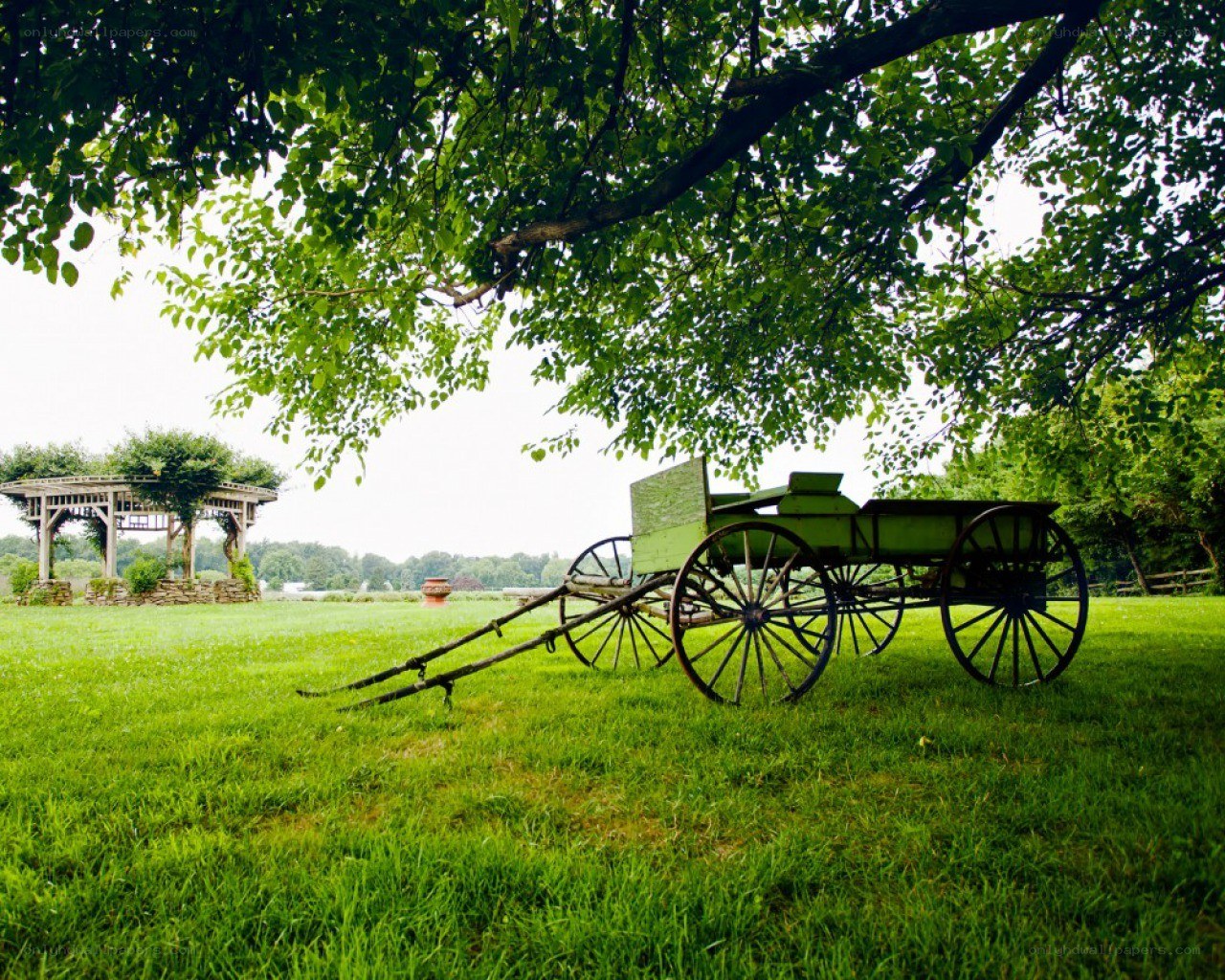 Green wagon in a grassy field
