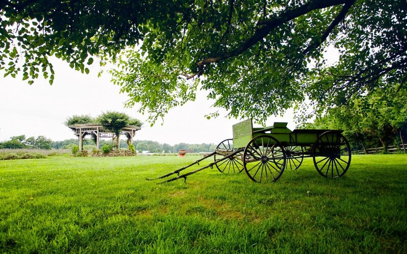 Green Wagon in Field — Serene