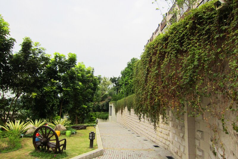 Green Wall with Pathway