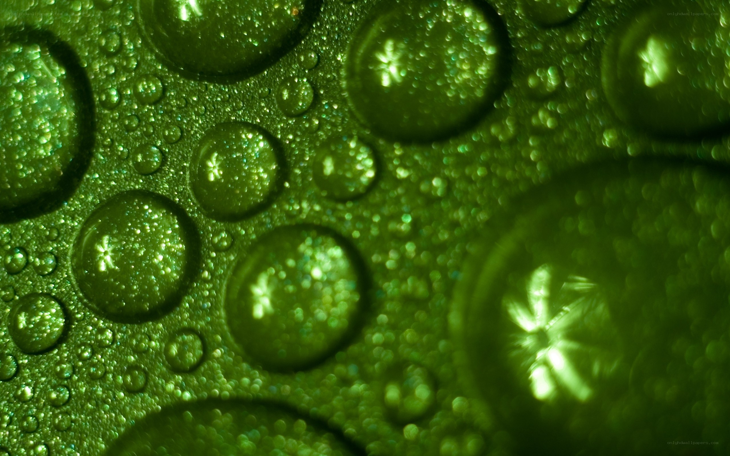 green water droplets macro