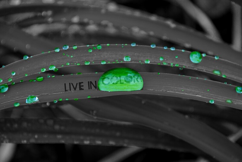 Green Water Droplets on Leaf