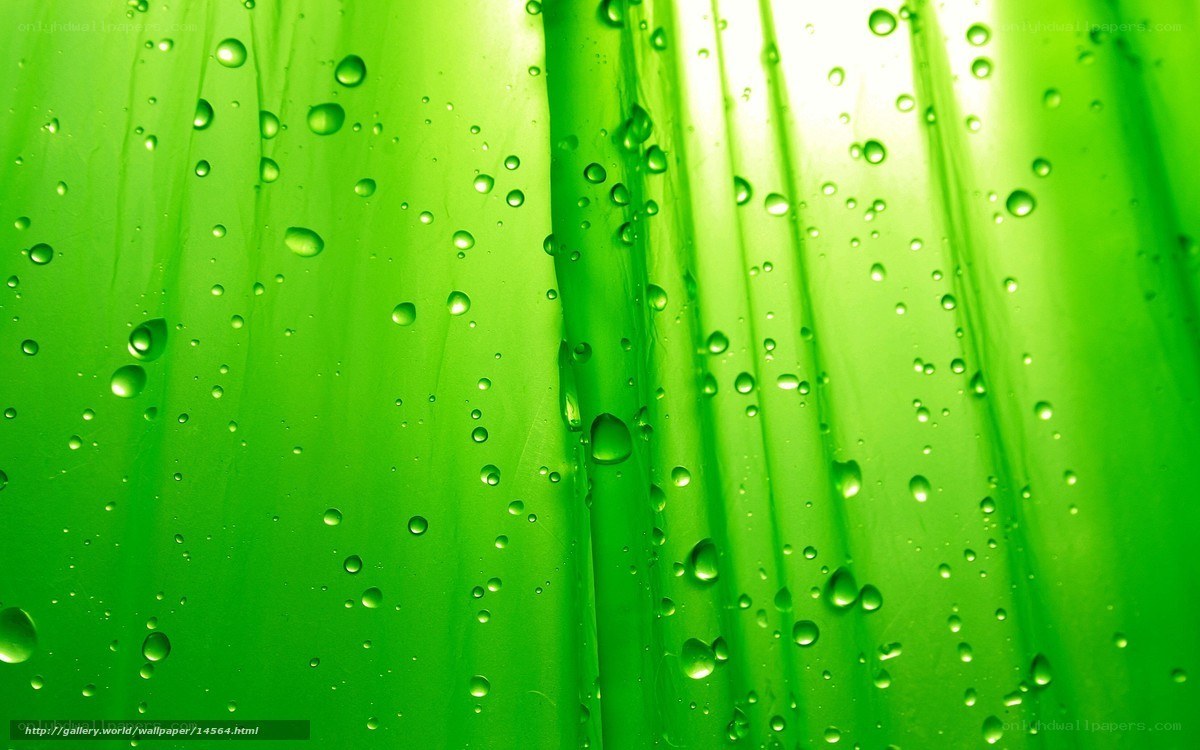 green water droplets on surface