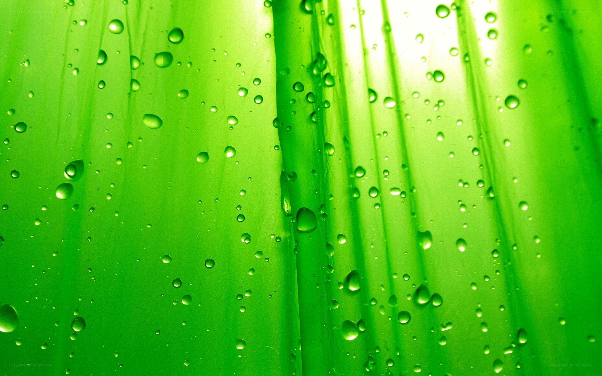 green water droplets on surface