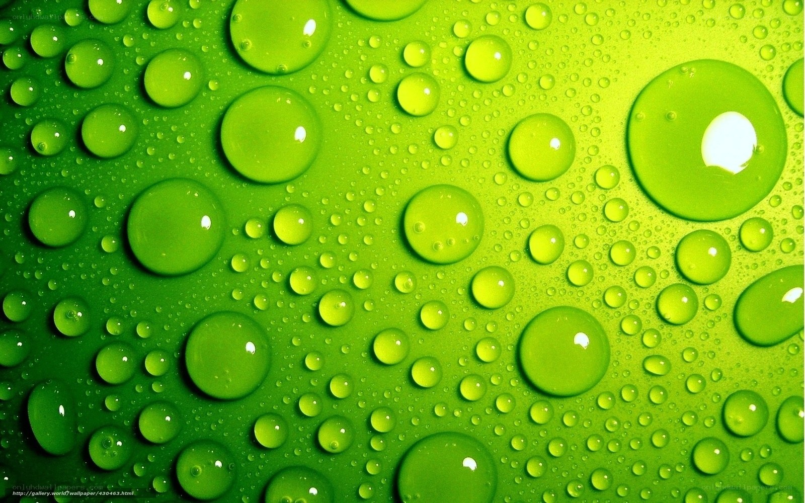 green water droplets on surface
