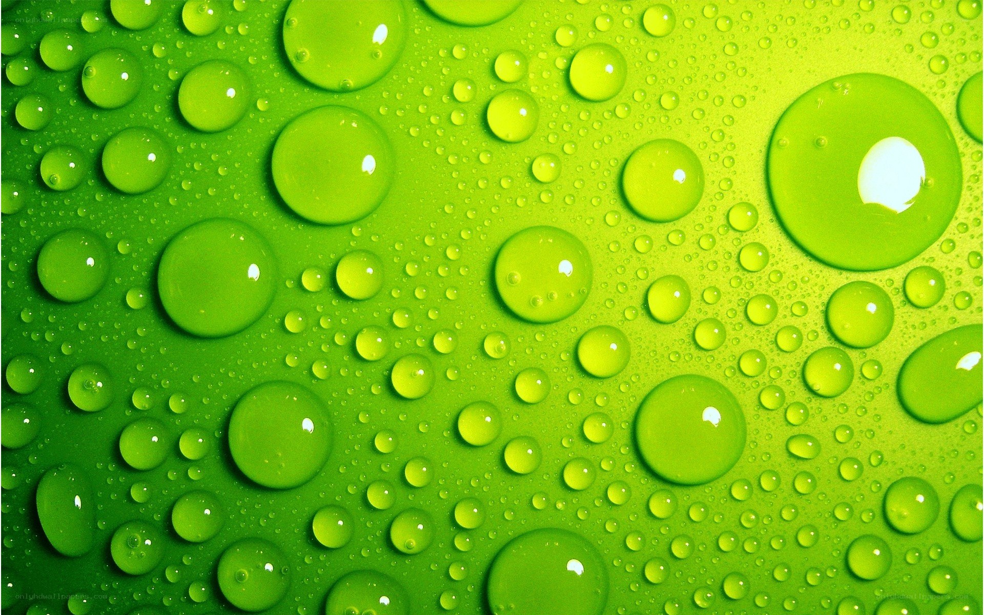 green water droplets on surface