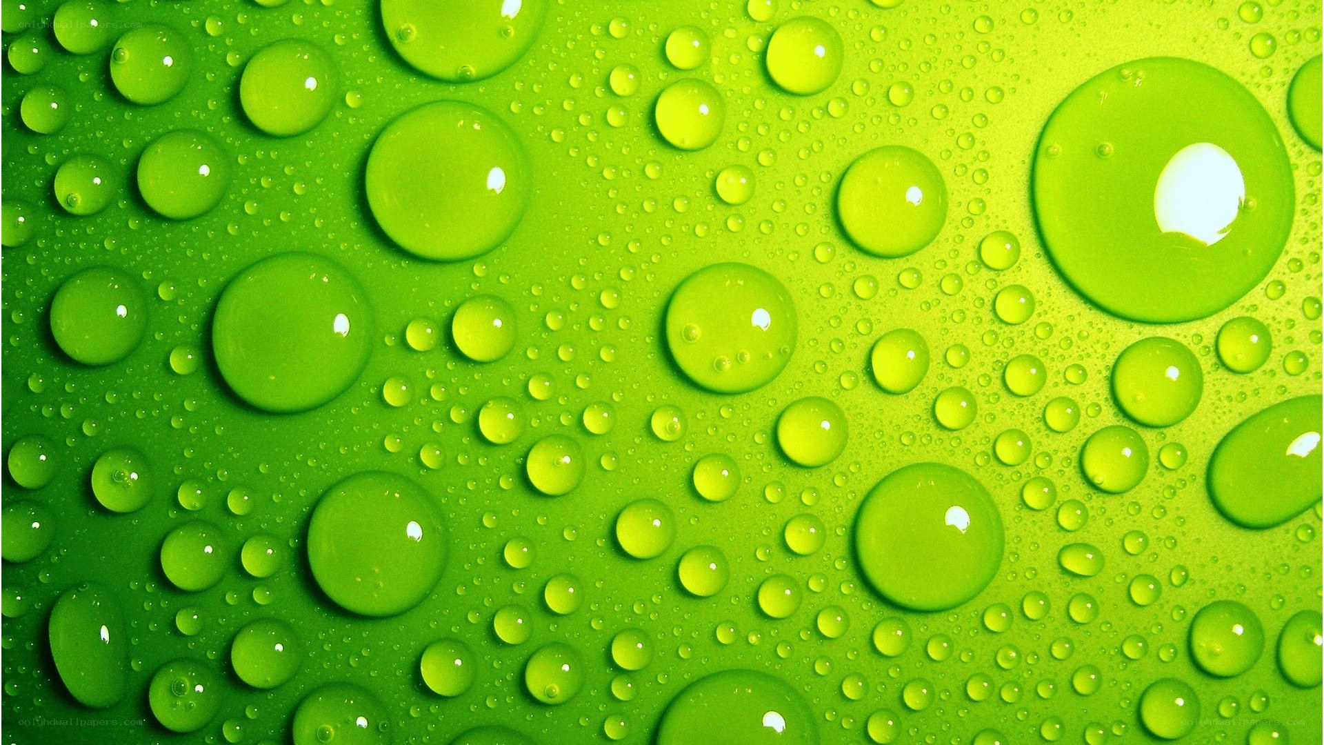 green water droplets on surface
