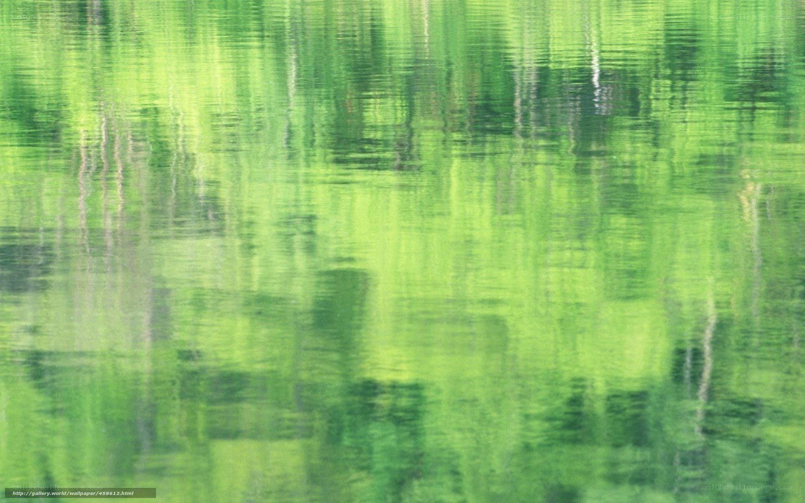 green water reflections