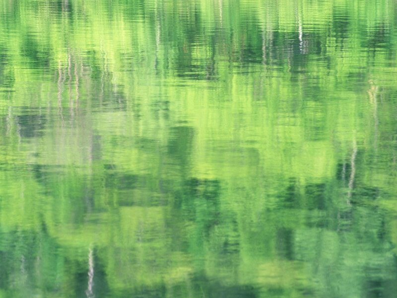 green water reflections