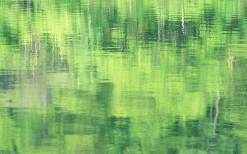green water reflections