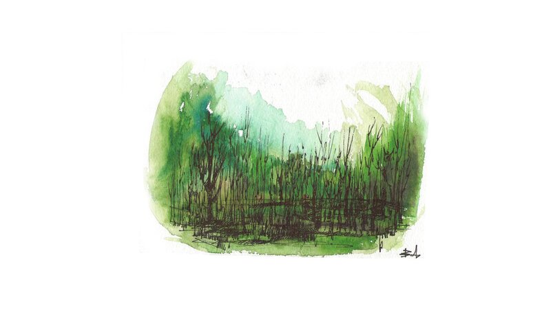 green watercolor sketch