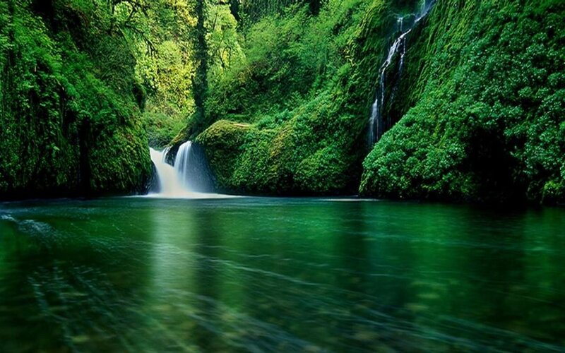 Green Waterfall Canyon — Serene, Afternoon
