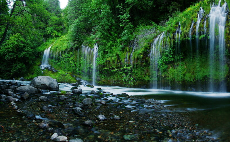 Green Waterfall Forest