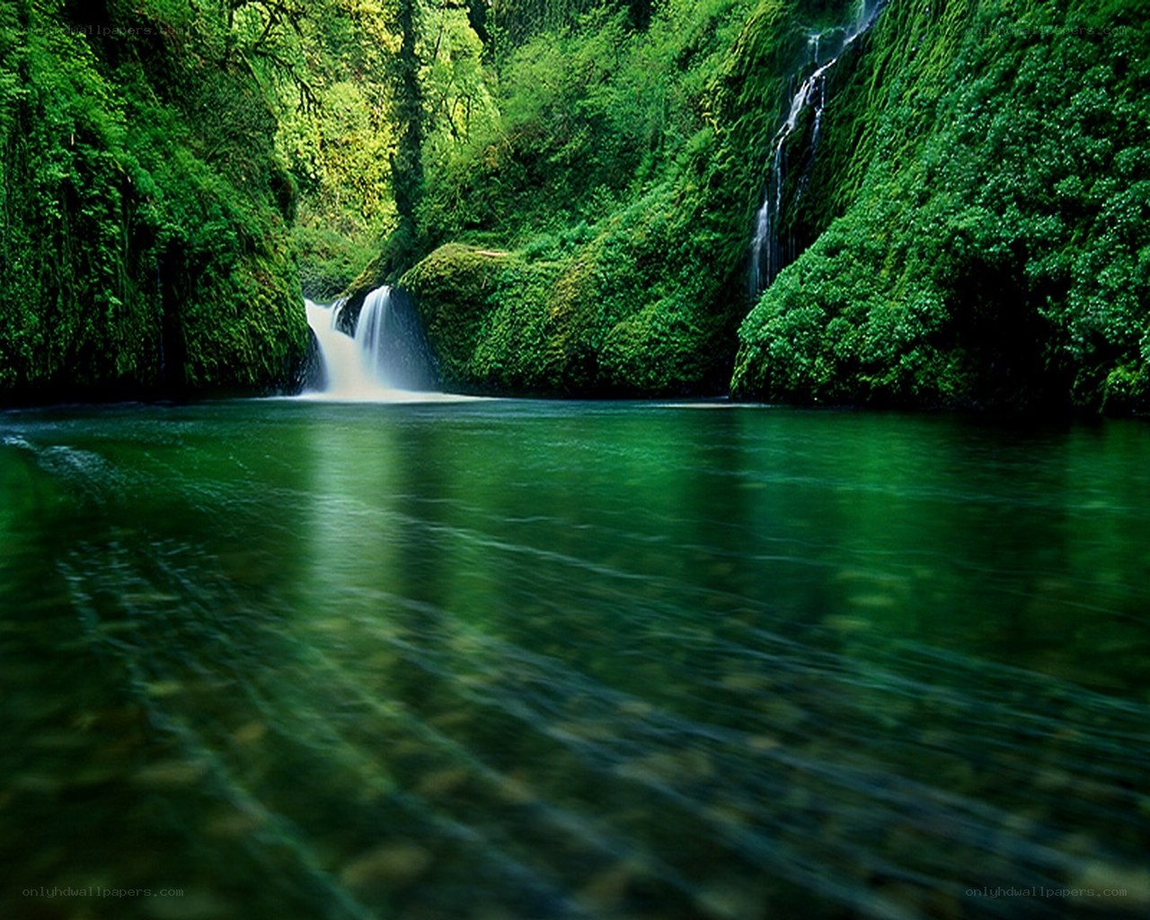 Green waterfall in forest