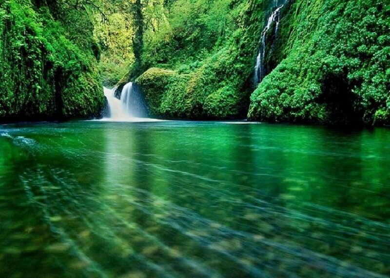 green waterfall in forest