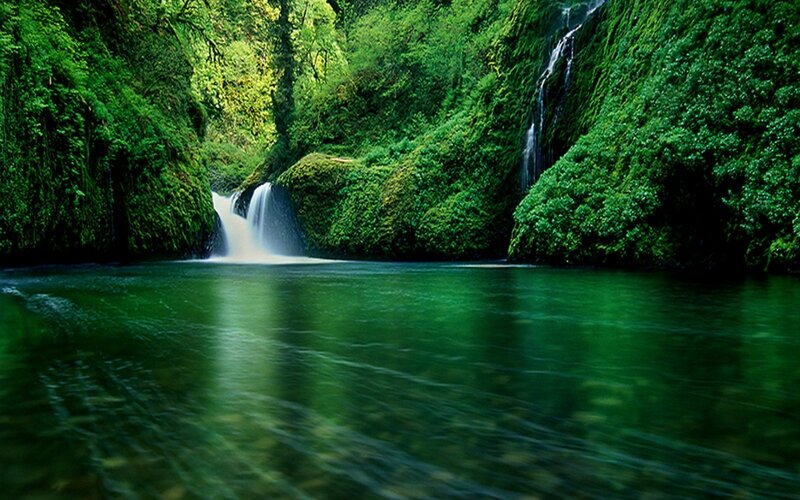 Green Waterfall in Forest — Serene, Afternoon, Photograph