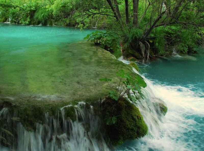 Green Waterfall in Forest — Serene, Afternoon