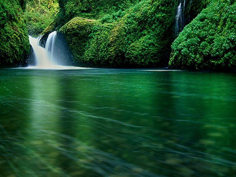 Green Waterfall in Forest — Serene, Photograph, River