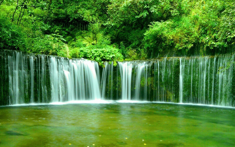 Green Waterfall in Forest — Serene, Photograph