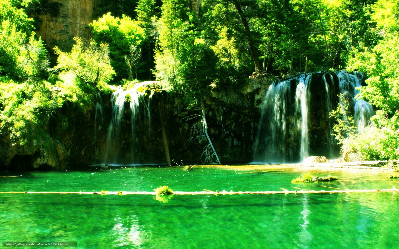 Green waterfall in forest