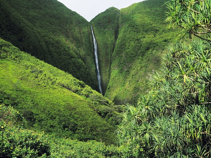 Green Waterfall in Valley — Serene, Afternoon