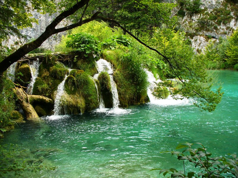 Green Waterfall Pool — Serene, Afternoon