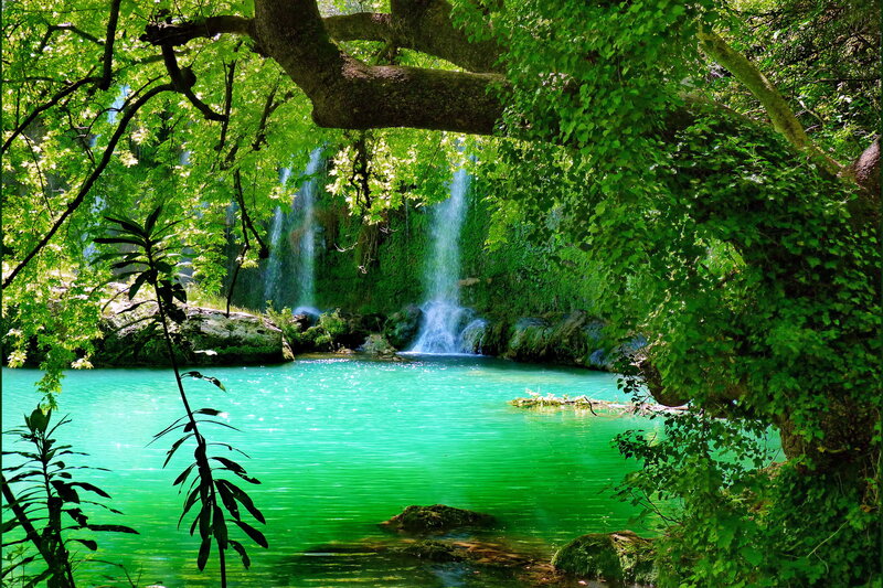 Green Waterfall Pool