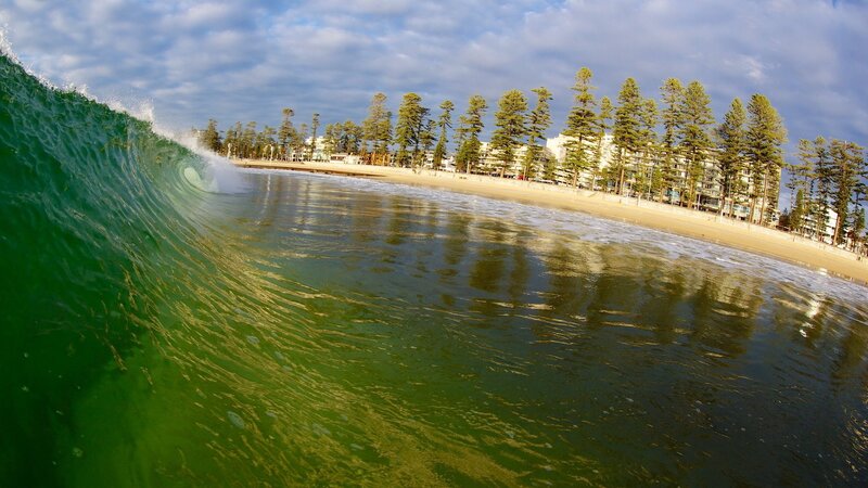 Green Wave at Beach — Dynamic